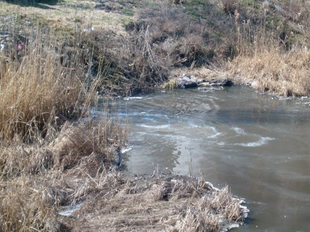Протести на светски Дан вода 2005.