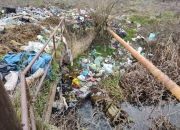 САМО УПОРНО, СТАЛОЖЕНО И ПРИСТОЈНО!