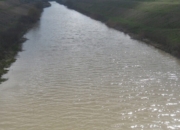 ИРИГАЦИОНИ КАНАЛ ПОСТАО ДЕПОНИЈА ОСОКЕ И ЛЕШИНА!  🛑☣️