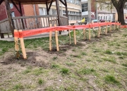 НОВИ РЕД ФОТИНИЈА ЗА ЗЕЛЕНИЈЕ ШКОЛСКО ДВОРИШТЕ