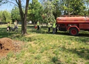 Заврнули смо рукаве и наш парк блиста! 💪🌳