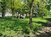 ЛАЗИН ПАРК - ГРАДСКИ ПАРК!